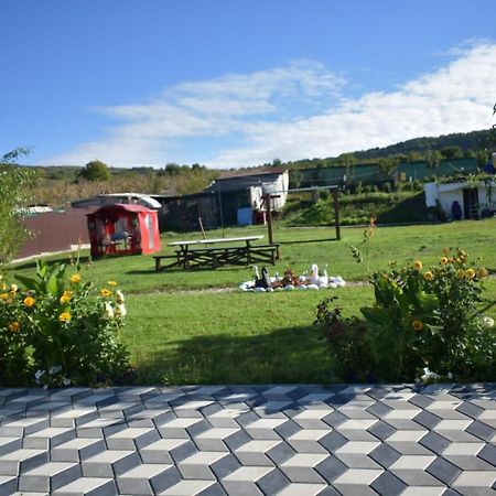 Bbs Residence Cluj-Napoca Eksteriør billede