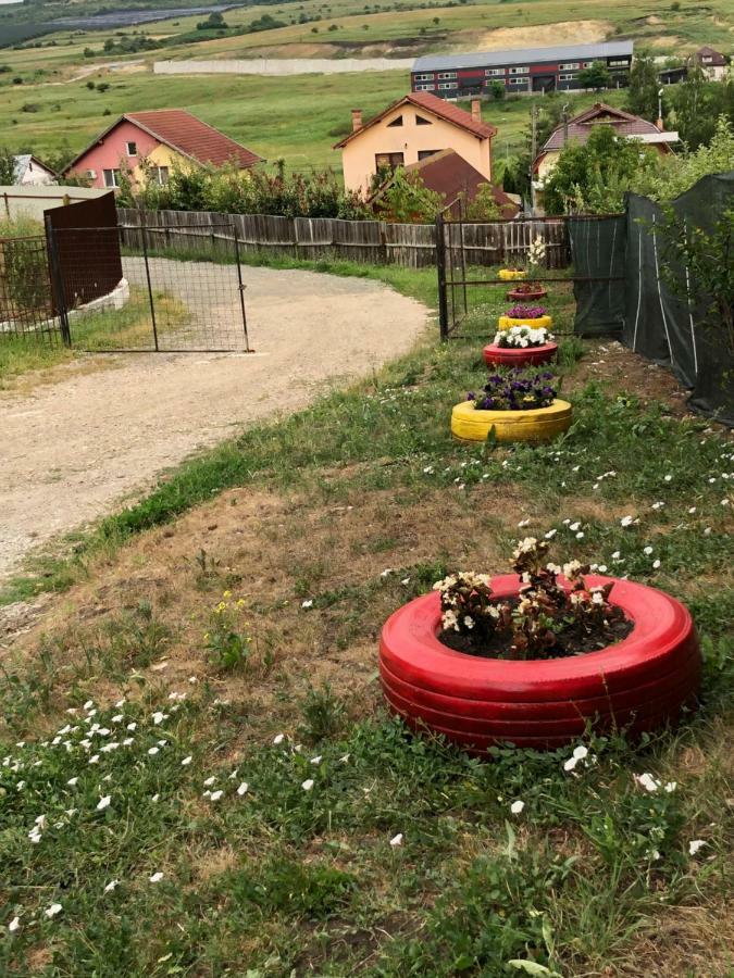 Bbs Residence Cluj-Napoca Eksteriør billede