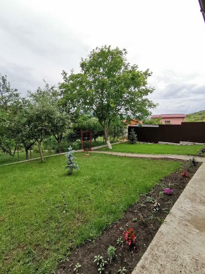 Bbs Residence Cluj-Napoca Eksteriør billede